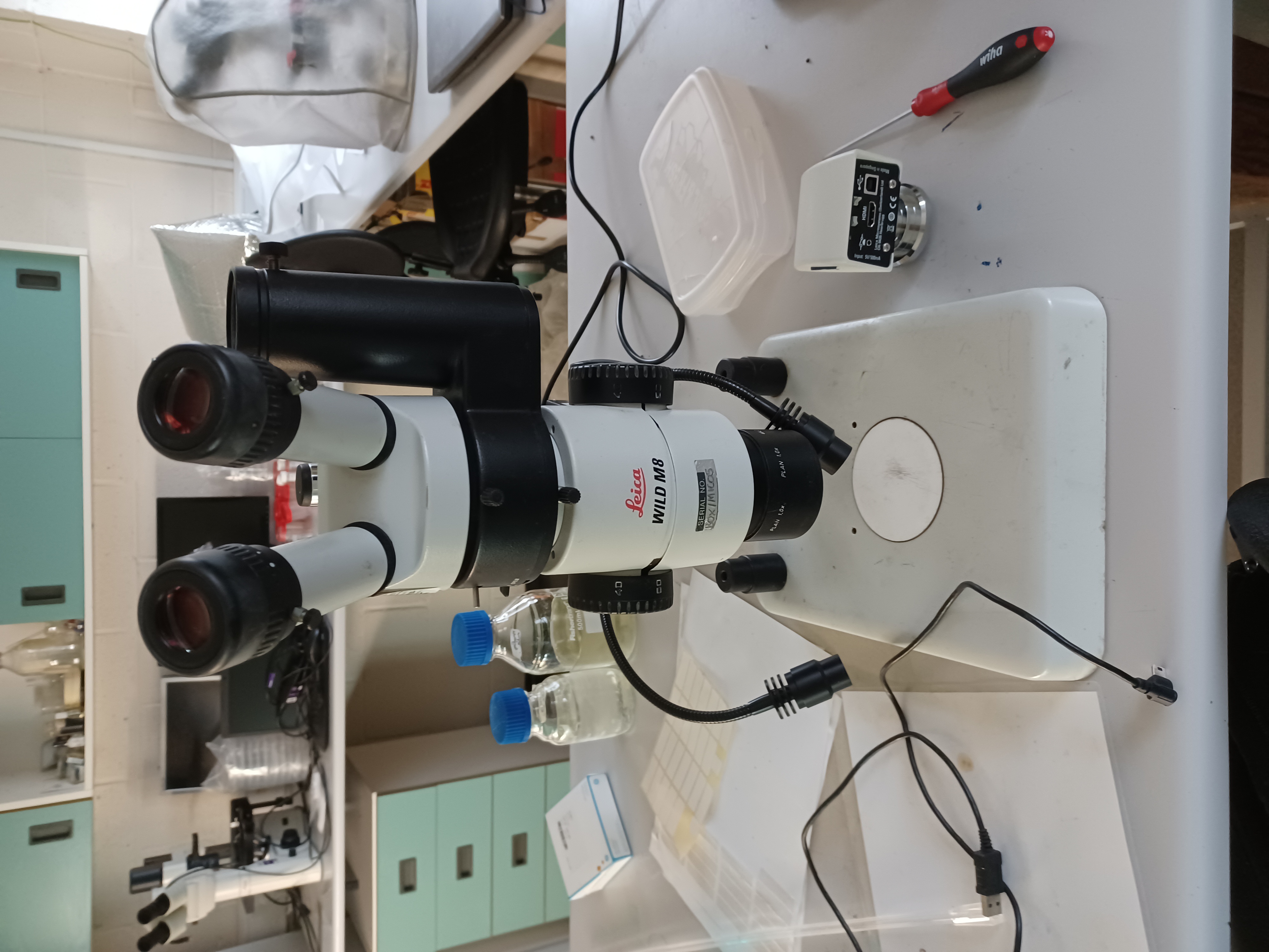 Lab microscope for identification