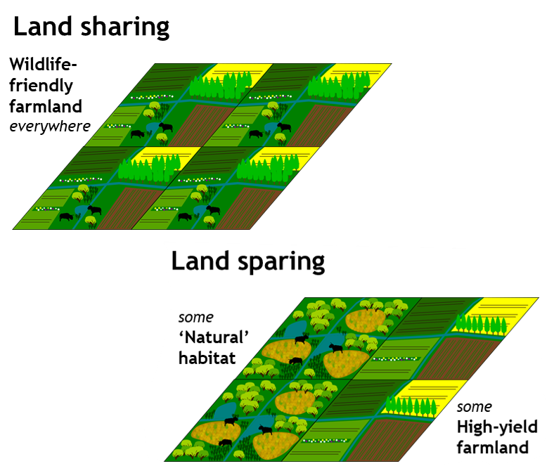 Diagram schematic of land sparing & land sharing approaches