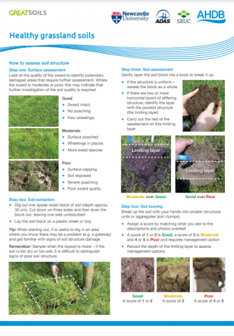 Preview of Healthy Grassland Soils guide