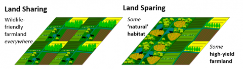 Land sharing or land sparing