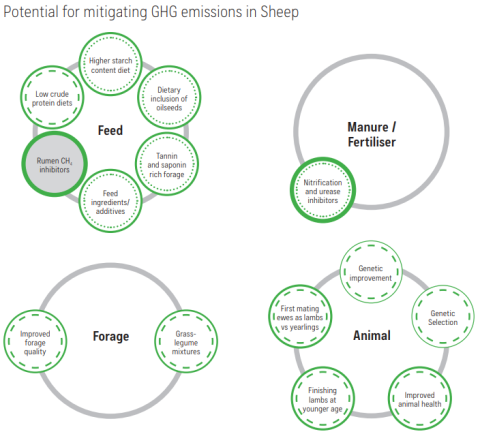 Reducing GHG Emissions for sheep farmers