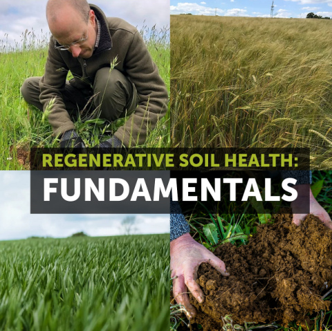 Regenerative Soil Health Fundamentals