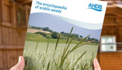 Encyclopaedia of arable weeds