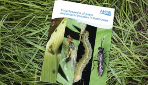 Encyclopaedia of pests and natural enemies in field crops