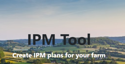 IPM Tool logo