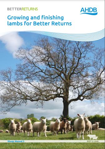 Growing and finishing lambs for Better Returns