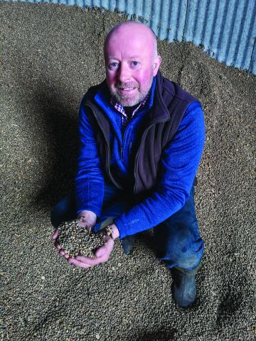 Farmer Rob Crowe, shows propcorn NC treated lupins rolled through a Murska 350
