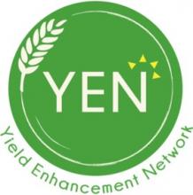 YEN logo