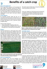 Benefits of a catch crop Anglian Water report