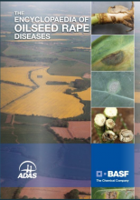 The Encyclopedia of Oilseed rape diseases front cover