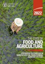 FAO report front cover