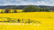 Spraying chemicals over oilseed rape field