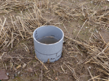 Assessing water infiltration