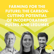  Farming for the Future - The Carbon-Cutting Potential of Incorporating Pulses and Legumes 