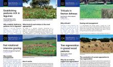 Agroforestry Innovation Leaflets