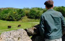 Pastoralism in Northern Portugal