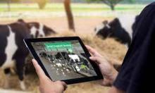 Smart Livestock Farming Technology