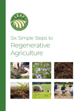 Six Simple Steps to Regenerative Agriculture