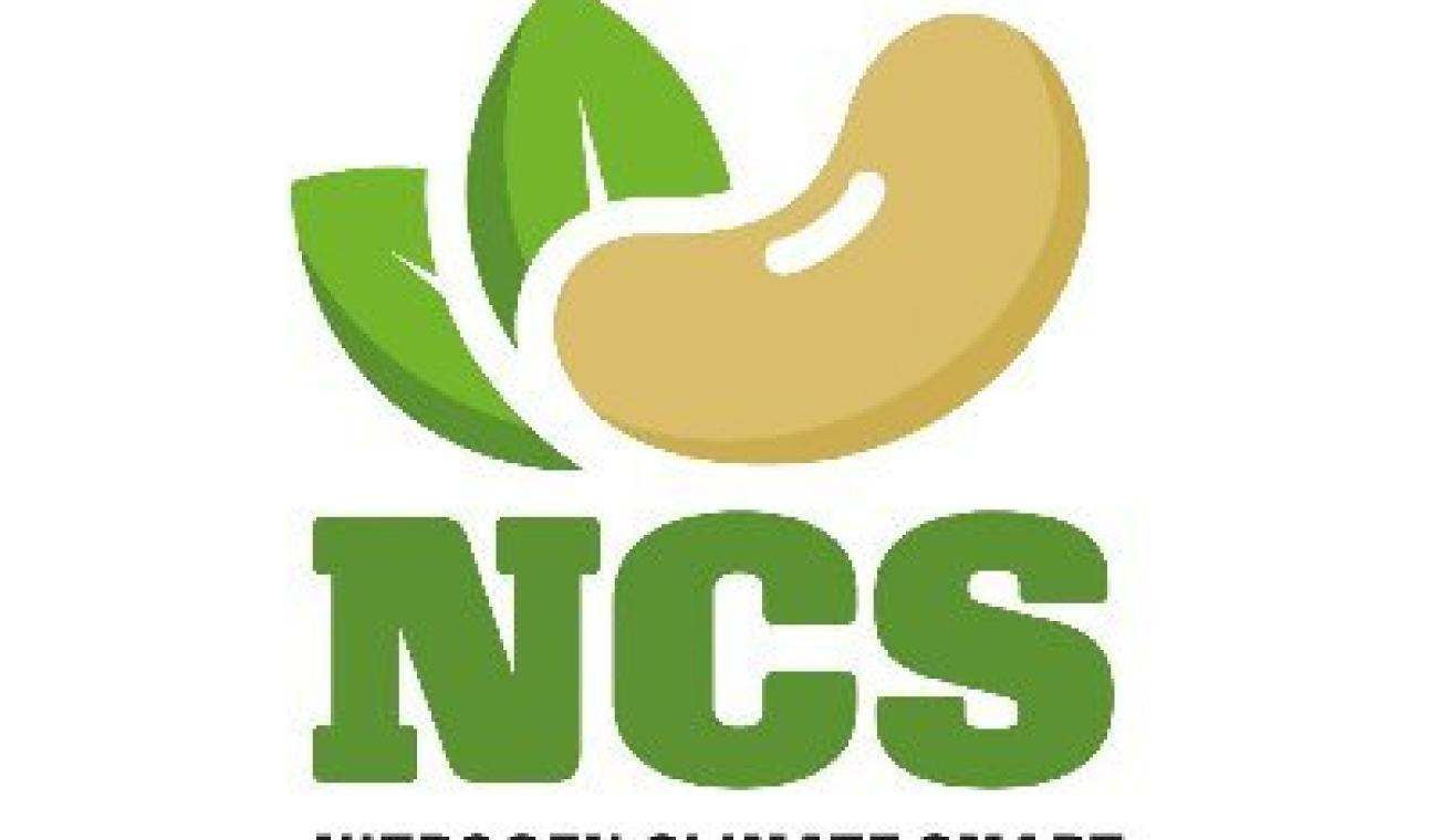 NCS Logo
