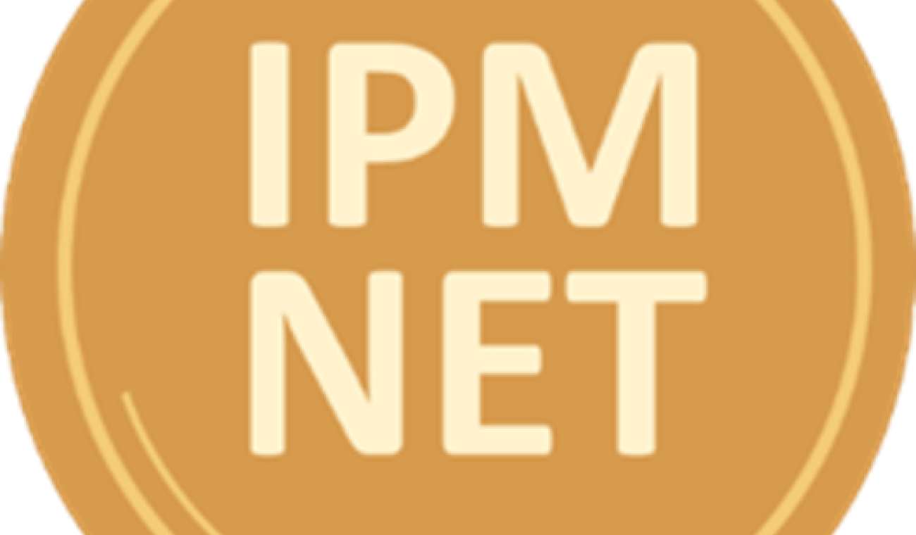 IPM NET