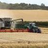combine harvester wheat