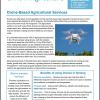 preview of FAS leaflet on UAVs