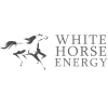 Profile picture for user White Horse Energy Ltd
