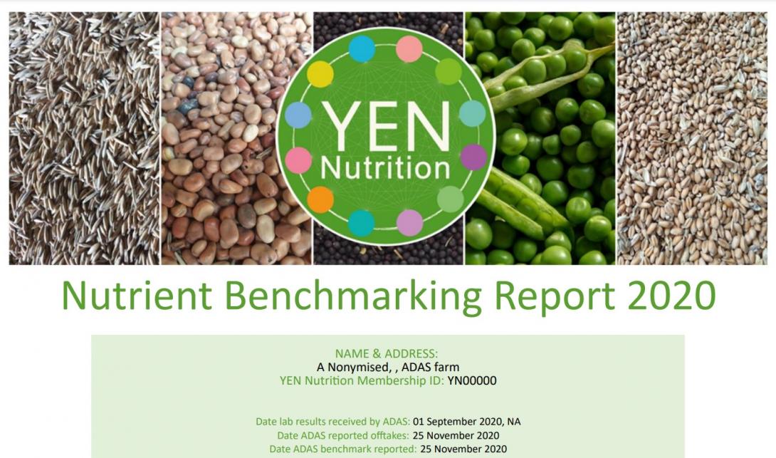 YEN Nutrition Benchmarking Report