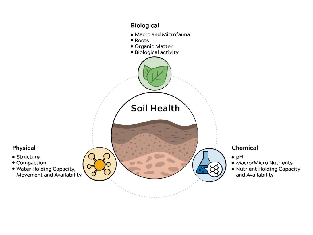 AW Soil Health Triangle