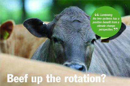 From Theory to Field – Beef up the rotation?