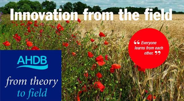 From Theory to Field – Innovation from the field